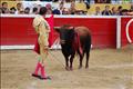 Jose Antonio Pinto (103)